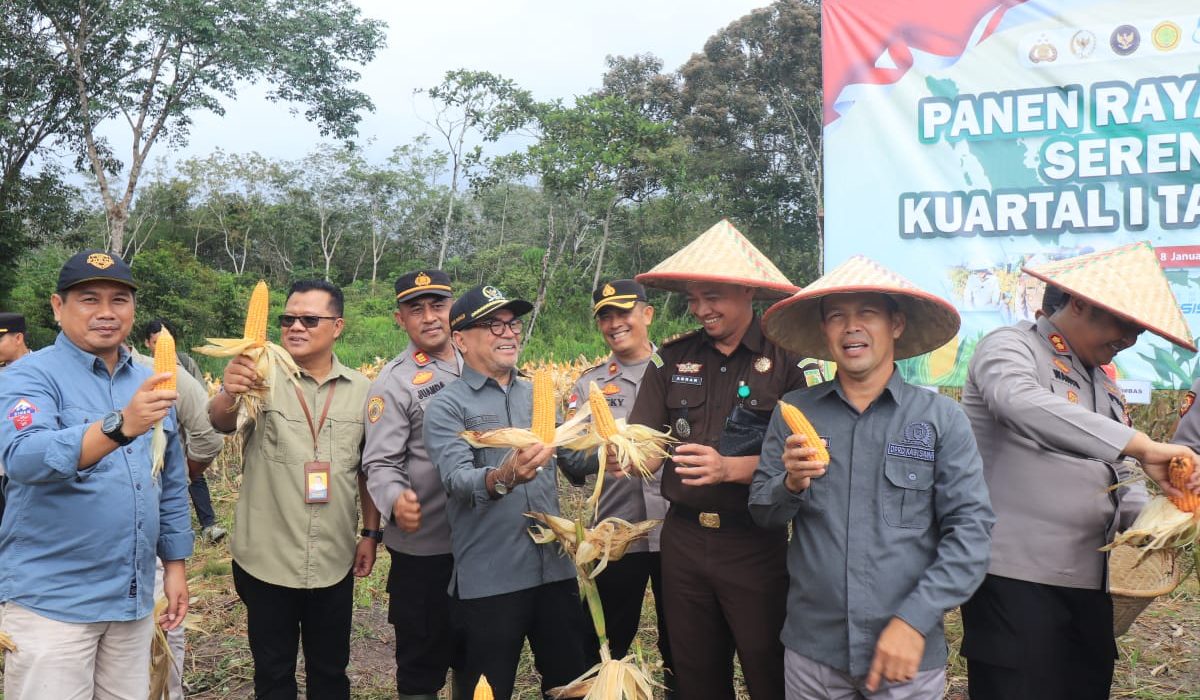 DPRD Sambas Hadiri Panen Raya Jagung Serentak Kuartal IV