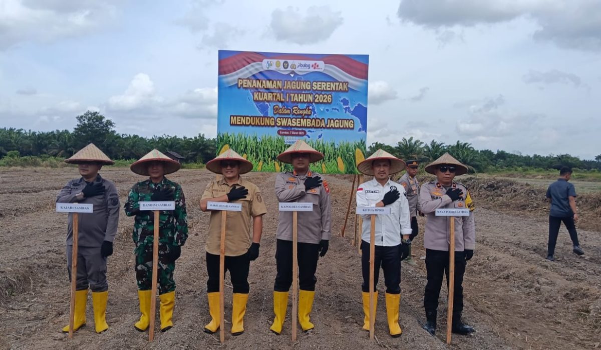 Paizal Berharap Penanaman Jagung Serentak jadi momentum mendukung Program Swasembada Pangan